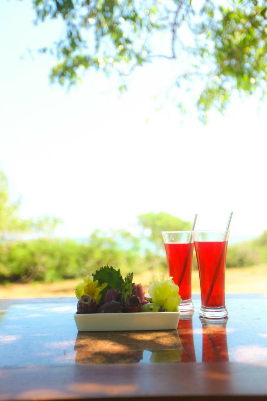 Nil Sisila Beach Resort Yala Bagian luar foto